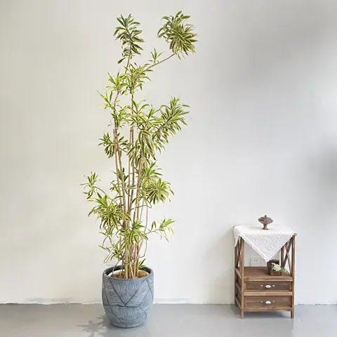 百合竹 — 走廊・工作區